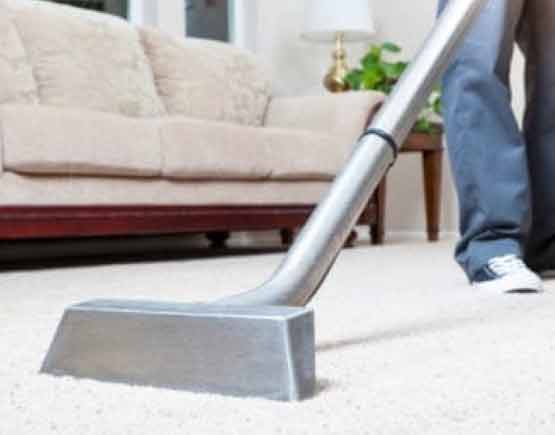 hamilton carpet cleaning